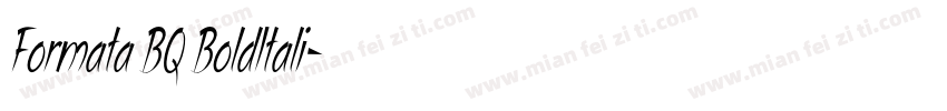 Formata BQ BoldItali字体转换